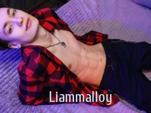 liammalloy Ta Model