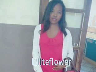 Lillteflower
