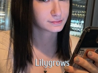 Lilygrows