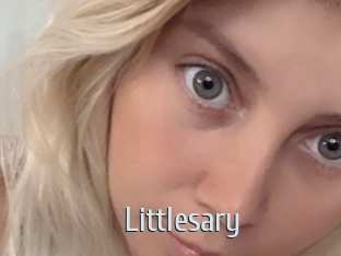 Littlesary
