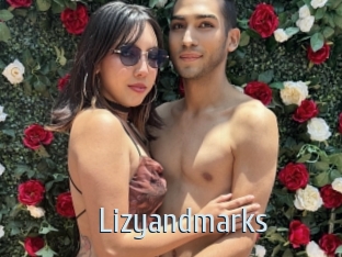 Lizyandmarks