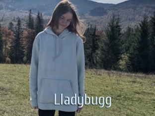 Lladybugg