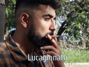 lucagionato Ta Model