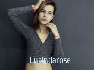 Lucindarose