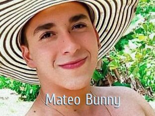 Mateo_Bunny