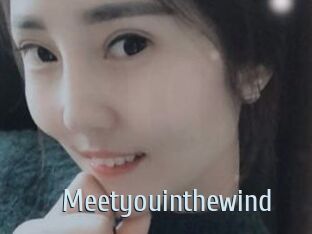 Meetyouinthewind