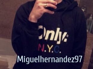 Miguel_hernandez97