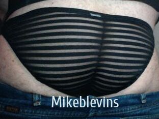 Mikeblevins