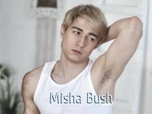 Misha_Bush