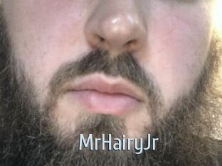 MrHairyJr