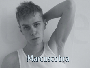 Marcuscobra