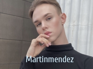 martinmendez Ta Model