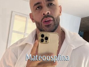 Mateoospiina