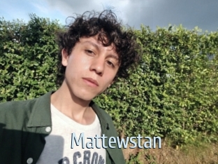 mattewstan Ta Model