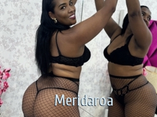 Meridaroa