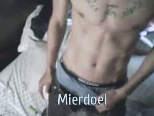 Mierdoel