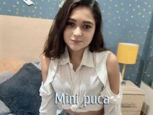 Mini_puca