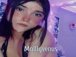 Molllyvenus