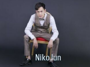 NikoJun Ta Model