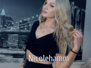 nicolehamm Ta Model