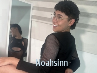Noahsinn