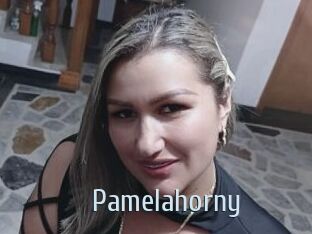 Pamelahorny