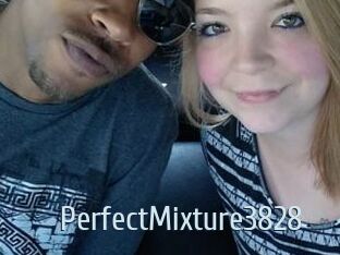 PerfectMixture3828