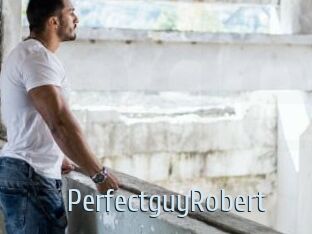 PerfectguyRobert