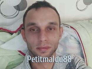 Petitmaldu88