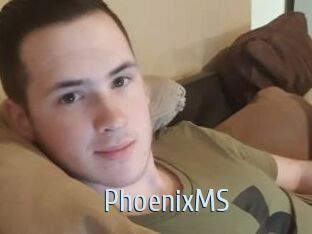 PhoenixMS
