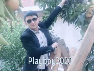 Playboy2020