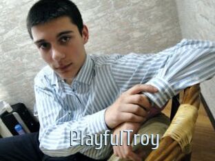 PlayfulTroy