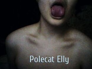 Polecat_Elly