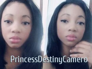 PrincessDestinyCamero