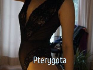 Pterygota