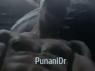 PunaniDr