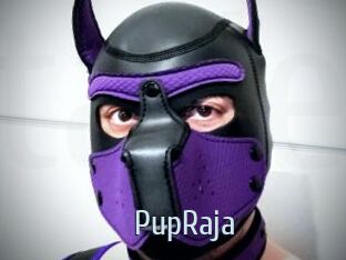PupRaja