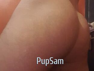 PupSam