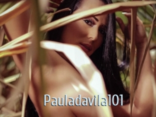 Pauladavila101