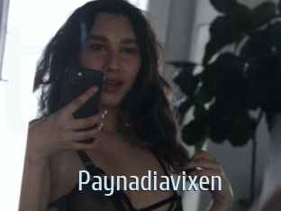 Paynadiavixen