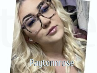 Paytonnrose