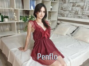 Penflo
