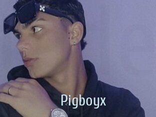 Pigboyx
