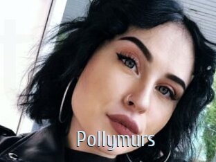 Pollymurs