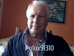 Polux91310