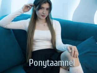 Ponytaamnel