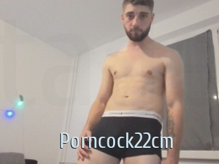 Porncock22cm
