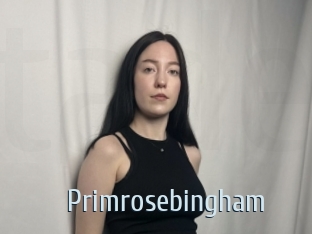 Primrosebingham