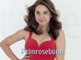 Primrosebunte