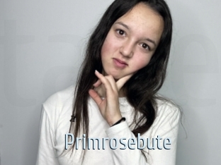 Primrosebute